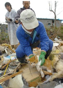 enhanced-buzz-31798-1300131850-10