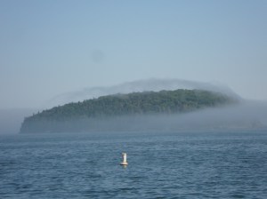 An island in Frenchman Bay