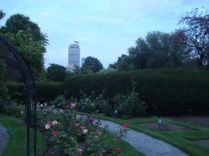 A view from the garden