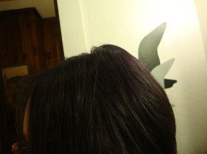 DSC06508