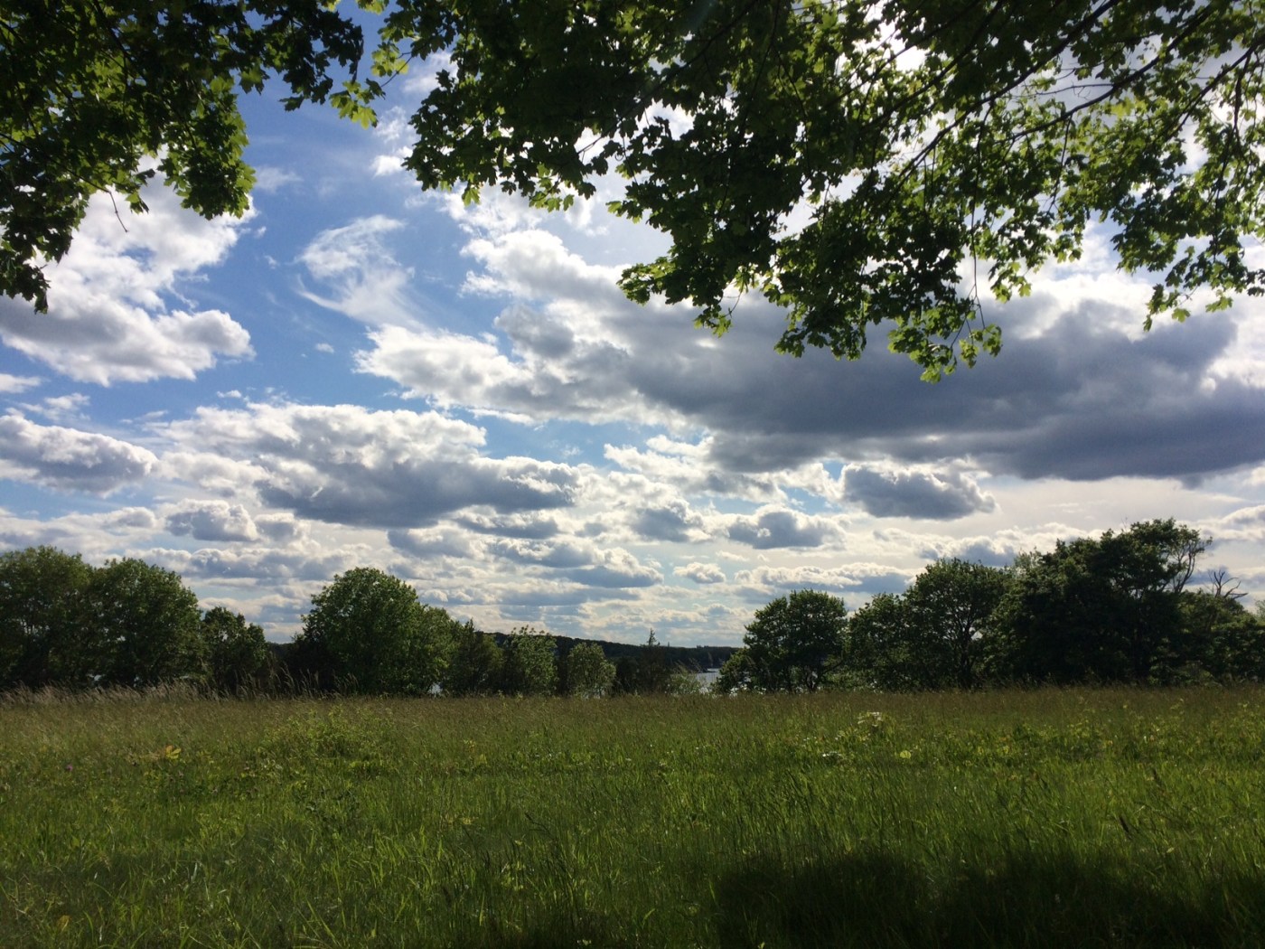 World's End, Hingham