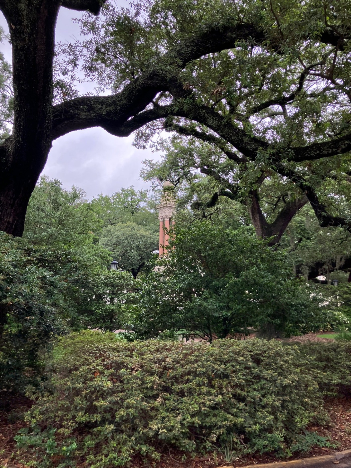 Savannah square